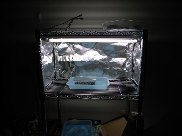 «ö¦¹¦b·sµøµ¡ÂsÄý¹Ï¤ù