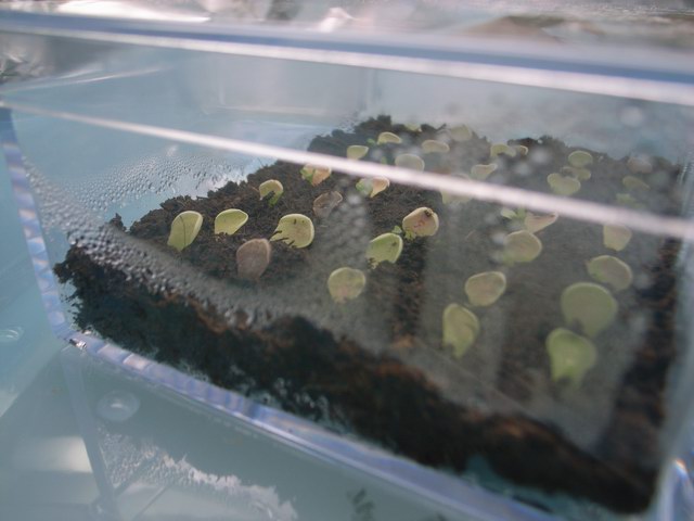 «ö¦¹¦b·sµøµ¡ÂsÄý¹Ï¤ù