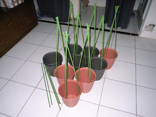 «ö¦¹¦b·sµøµ¡ÂsÄý¹Ï¤ù