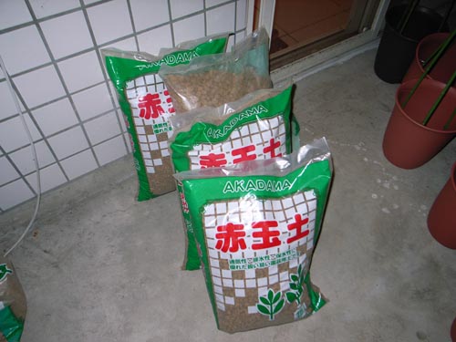 «ö¦¹¦b·sµøµ¡ÂsÄý¹Ï¤ù