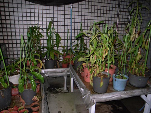 «ö¦¹¦b·sµøµ¡ÂsÄý¹Ï¤ù