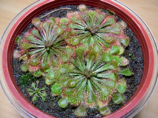 «ö¦¹¦b·sµøµ¡ÂsÄý¹Ï¤ù