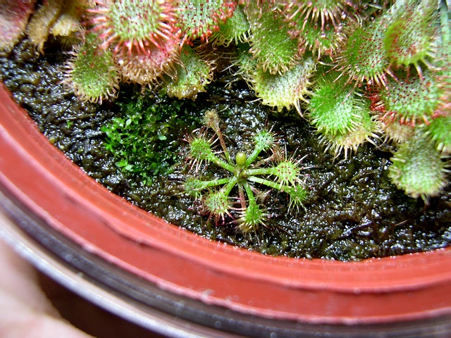 «ö¦¹¦b·sµøµ¡ÂsÄý¹Ï¤ù