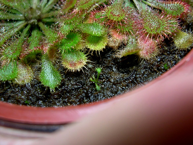 «ö¦¹¦b·sµøµ¡ÂsÄý¹Ï¤ù