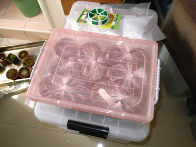 «ö¦¹¦b·sµøµ¡ÂsÄý¹Ï¤ù