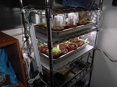 «ö¦¹¦b·sµøµ¡ÂsÄý¹Ï¤ù