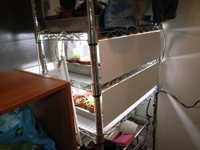 «ö¦¹¦b·sµøµ¡ÂsÄý¹Ï¤ù