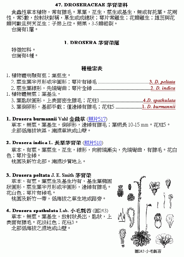 «ö¦¹¦b·sµøµ¡ÂsÄý¹Ï¤ù