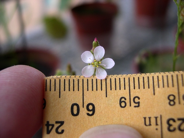 «ö¦¹¦b·sµøµ¡ÂsÄý¹Ï¤ù