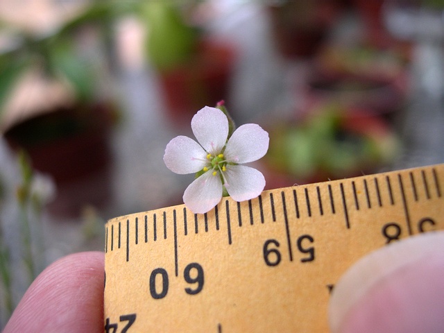 «ö¦¹¦b·sµøµ¡ÂsÄý¹Ï¤ù