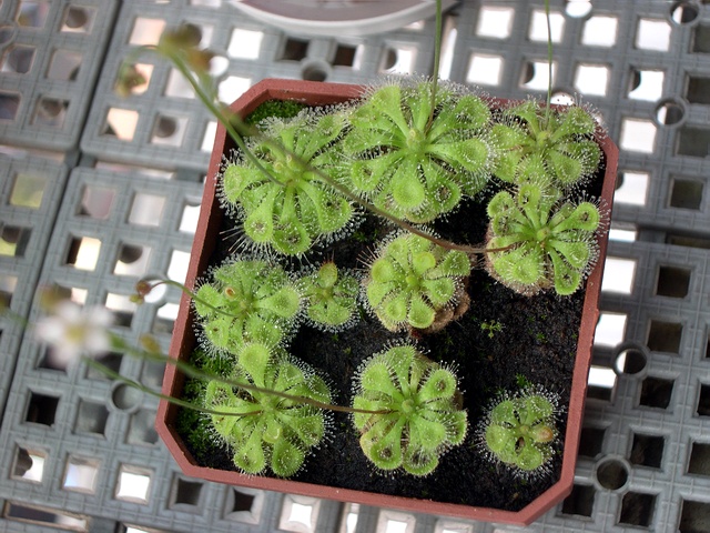 «ö¦¹¦b·sµøµ¡ÂsÄý¹Ï¤ù