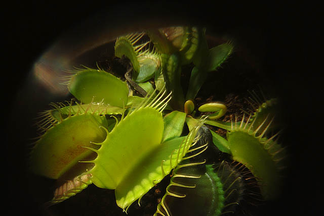 «ö¦¹¦b·sµøµ¡ÂsÄý¹Ï¤ù