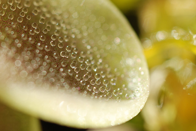 «ö¦¹¦b·sµøµ¡ÂsÄý¹Ï¤ù