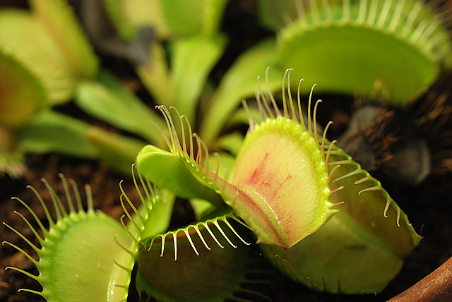 «ö¦¹¦b·sµøµ¡ÂsÄý¹Ï¤ù