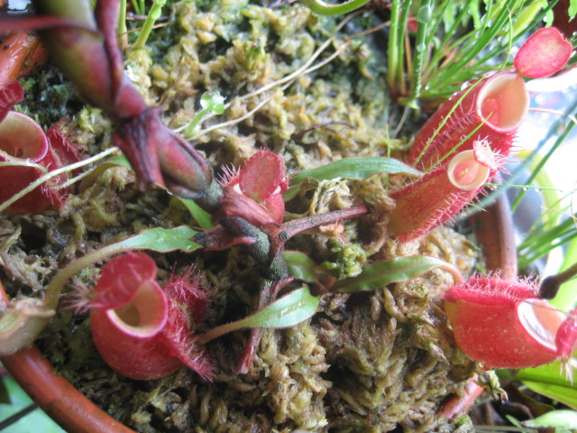 «ö¦¹¦b·sµøµ¡ÂsÄý¹Ï¤ù