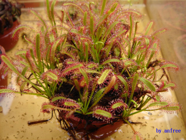 «ö¦¹¦b·sµøµ¡ÂsÄý¹Ï¤ù