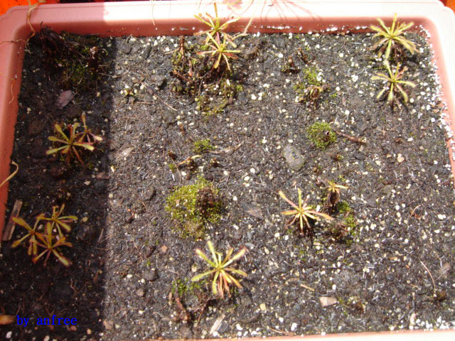 «ö¦¹¦b·sµøµ¡ÂsÄý¹Ï¤ù