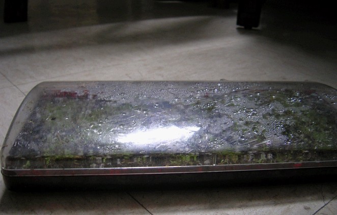 «ö¦¹¦b·sµøµ¡ÂsÄý¹Ï¤ù