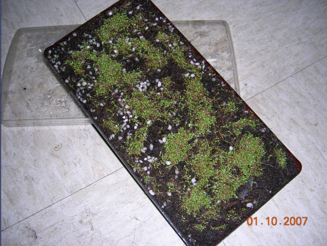 «ö¦¹¦b·sµøµ¡ÂsÄý¹Ï¤ù