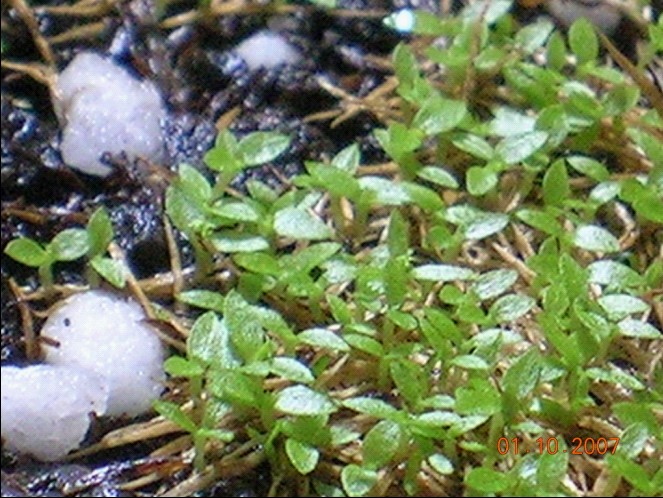 «ö¦¹¦b·sµøµ¡ÂsÄý¹Ï¤ù