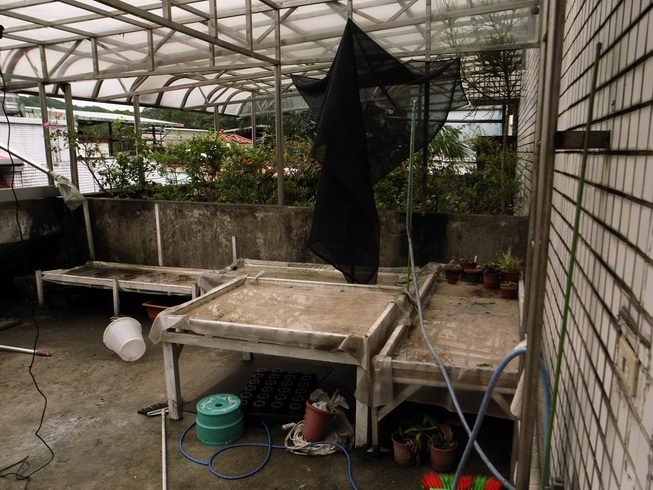 «ö¦¹¦b·sµøµ¡ÂsÄý¹Ï¤ù