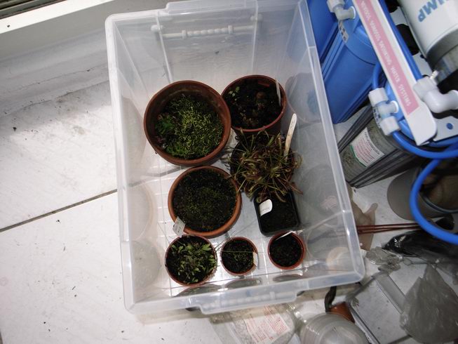 «ö¦¹¦b·sµøµ¡ÂsÄý¹Ï¤ù