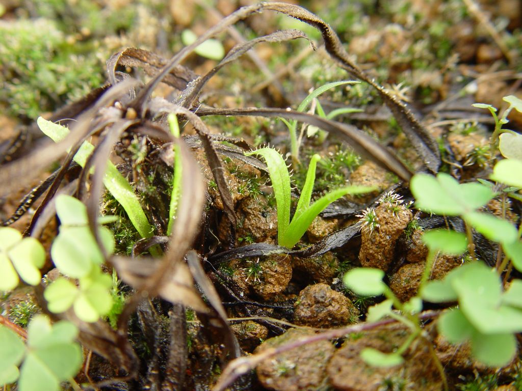 «ö¦¹¦b·sµøµ¡ÂsÄý¹Ï¤ù