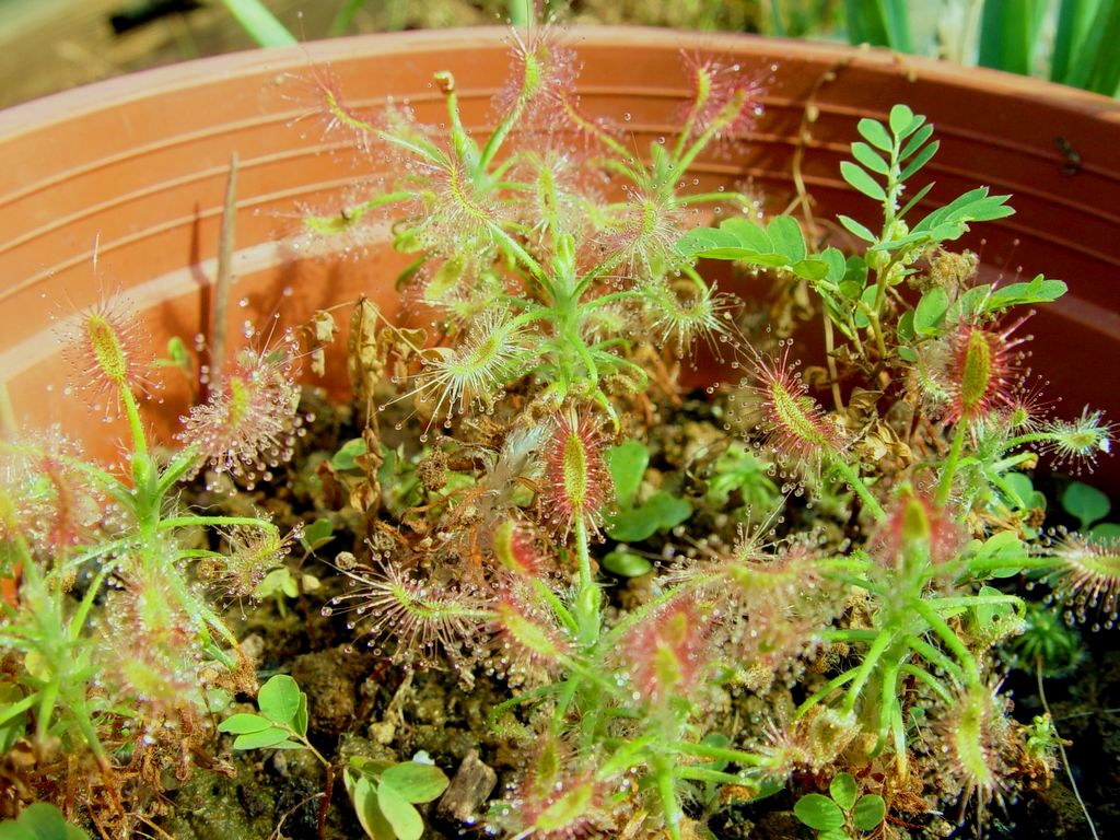 «ö¦¹¦b·sµøµ¡ÂsÄý¹Ï¤ù