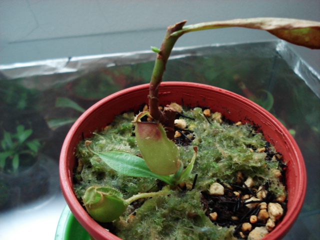 «ö¦¹¦b·sµøµ¡ÂsÄý¹Ï¤ù