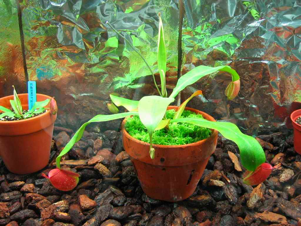 «ö¦¹¦b·sµøµ¡ÂsÄý¹Ï¤ù