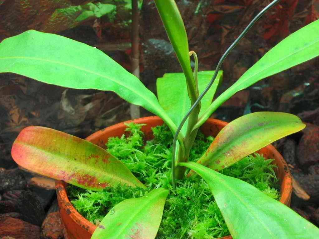 «ö¦¹¦b·sµøµ¡ÂsÄý¹Ï¤ù