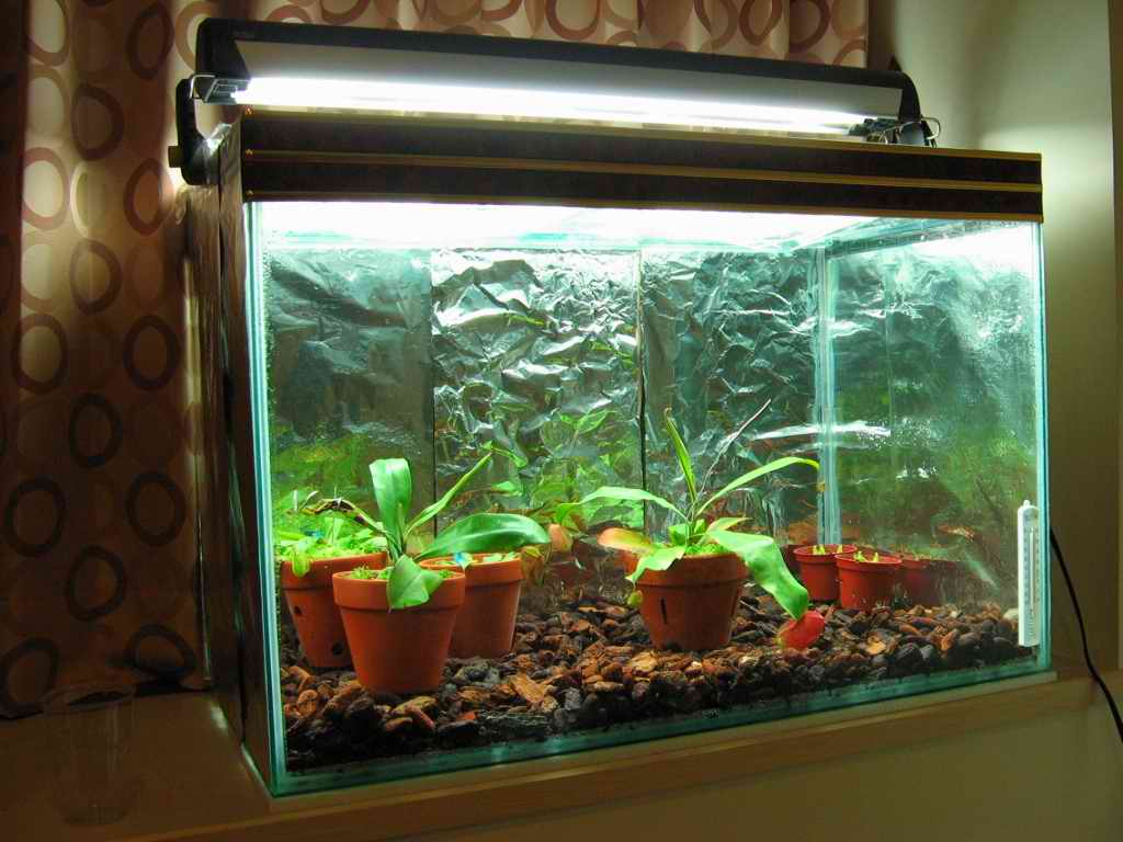 «ö¦¹¦b·sµøµ¡ÂsÄý¹Ï¤ù