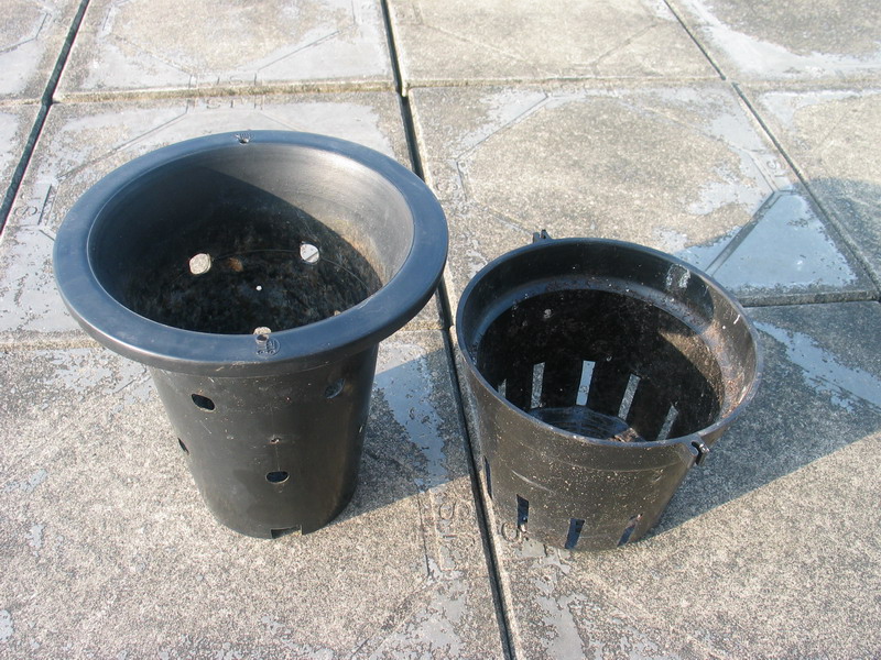 «ö¦¹¦b·sµøµ¡ÂsÄý¹Ï¤ù