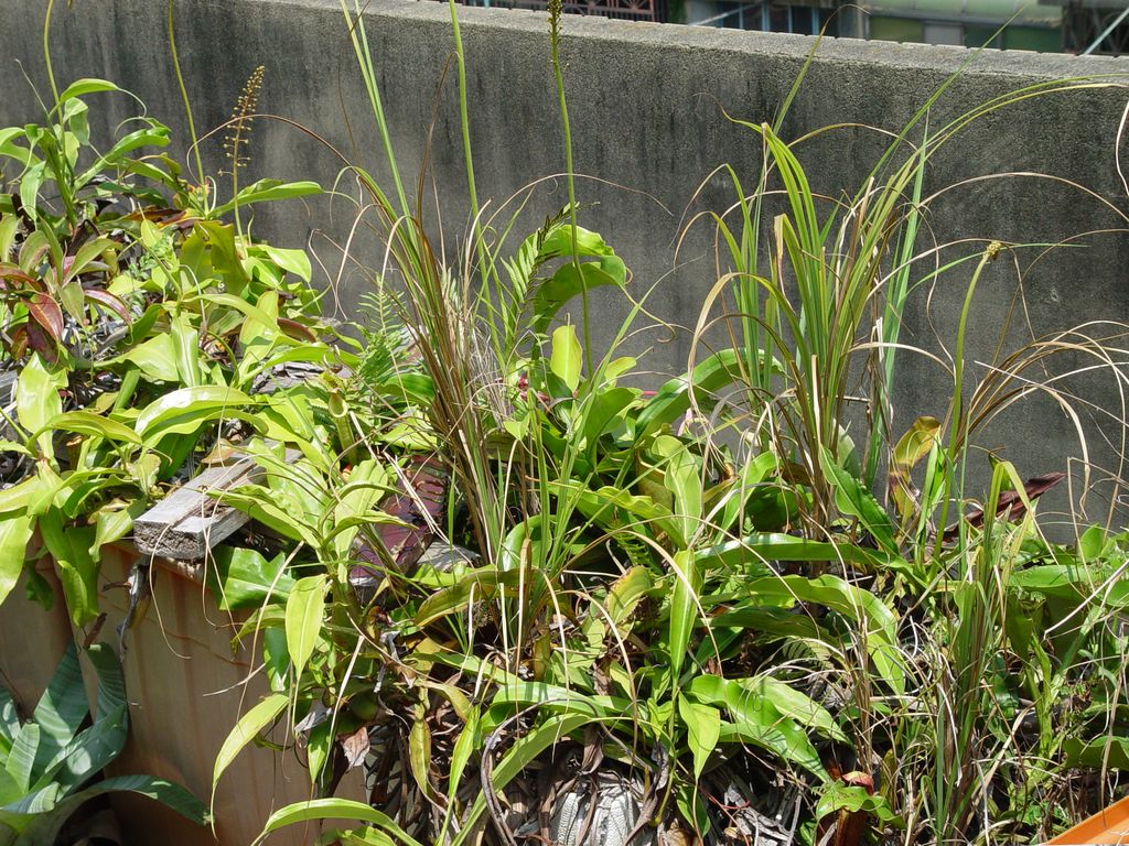 «ö¦¹¦b·sµøµ¡ÂsÄý¹Ï¤ù