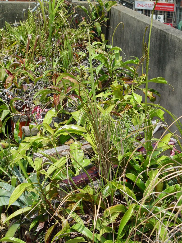 «ö¦¹¦b·sµøµ¡ÂsÄý¹Ï¤ù