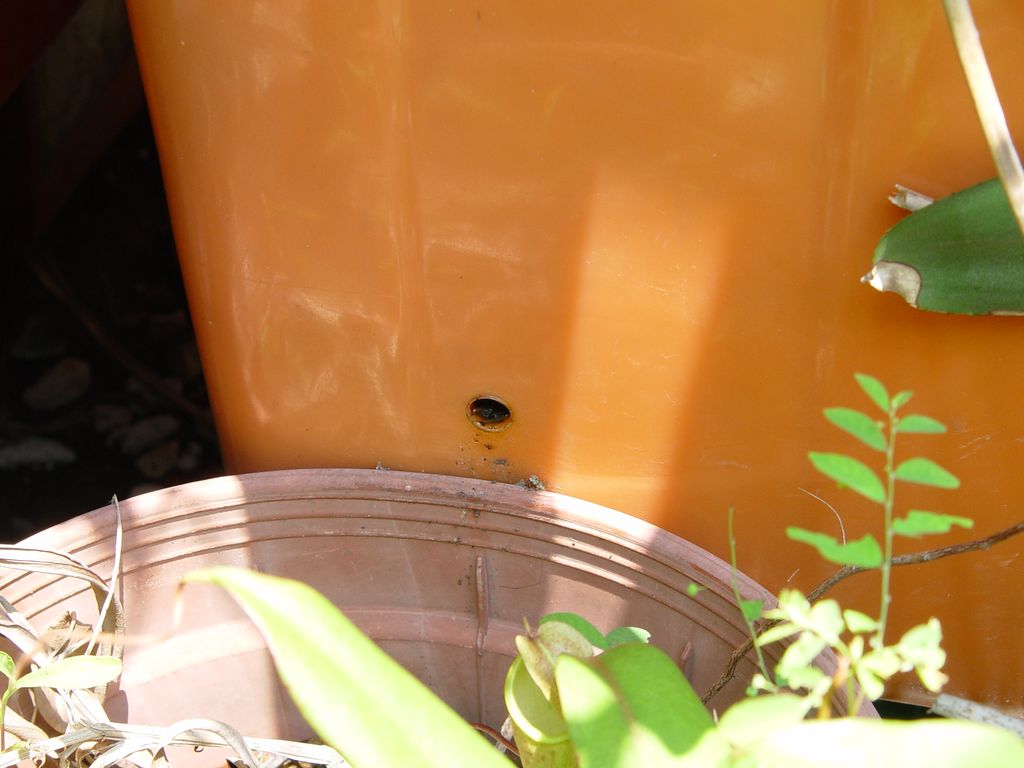 «ö¦¹¦b·sµøµ¡ÂsÄý¹Ï¤ù