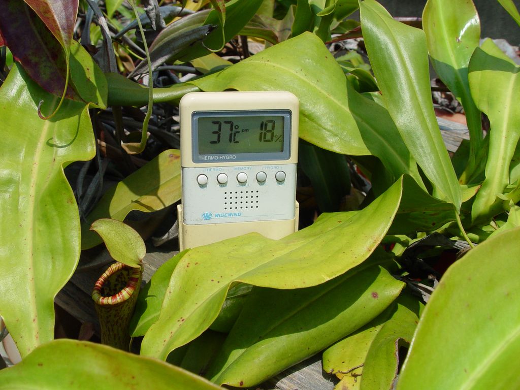 «ö¦¹¦b·sµøµ¡ÂsÄý¹Ï¤ù