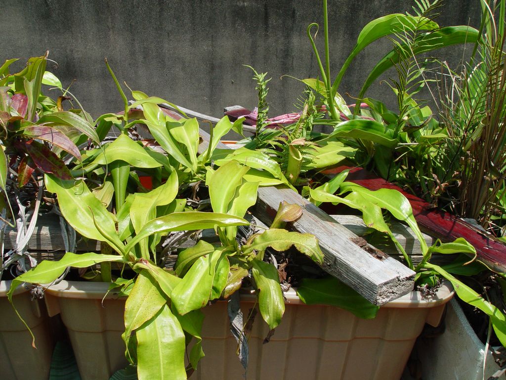 «ö¦¹¦b·sµøµ¡ÂsÄý¹Ï¤ù