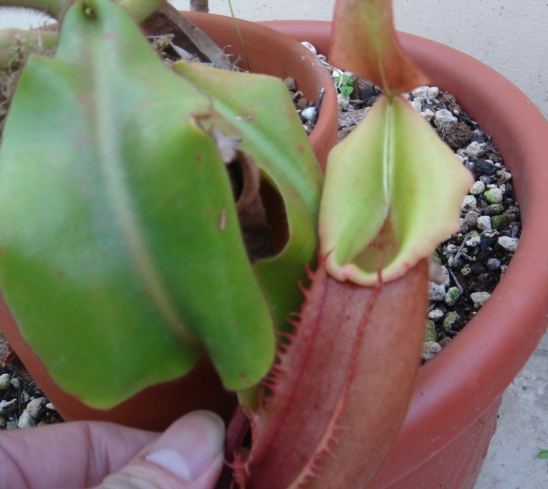 «ö¦¹¦b·sµøµ¡ÂsÄý¹Ï¤ù