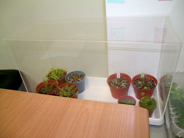 «ö¦¹¦b·sµøµ¡ÂsÄý¹Ï¤ù