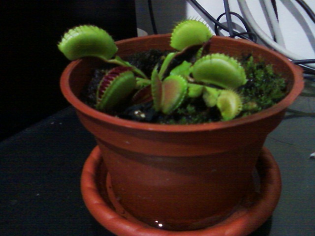 «ö¦¹¦b·sµøµ¡ÂsÄý¹Ï¤ù