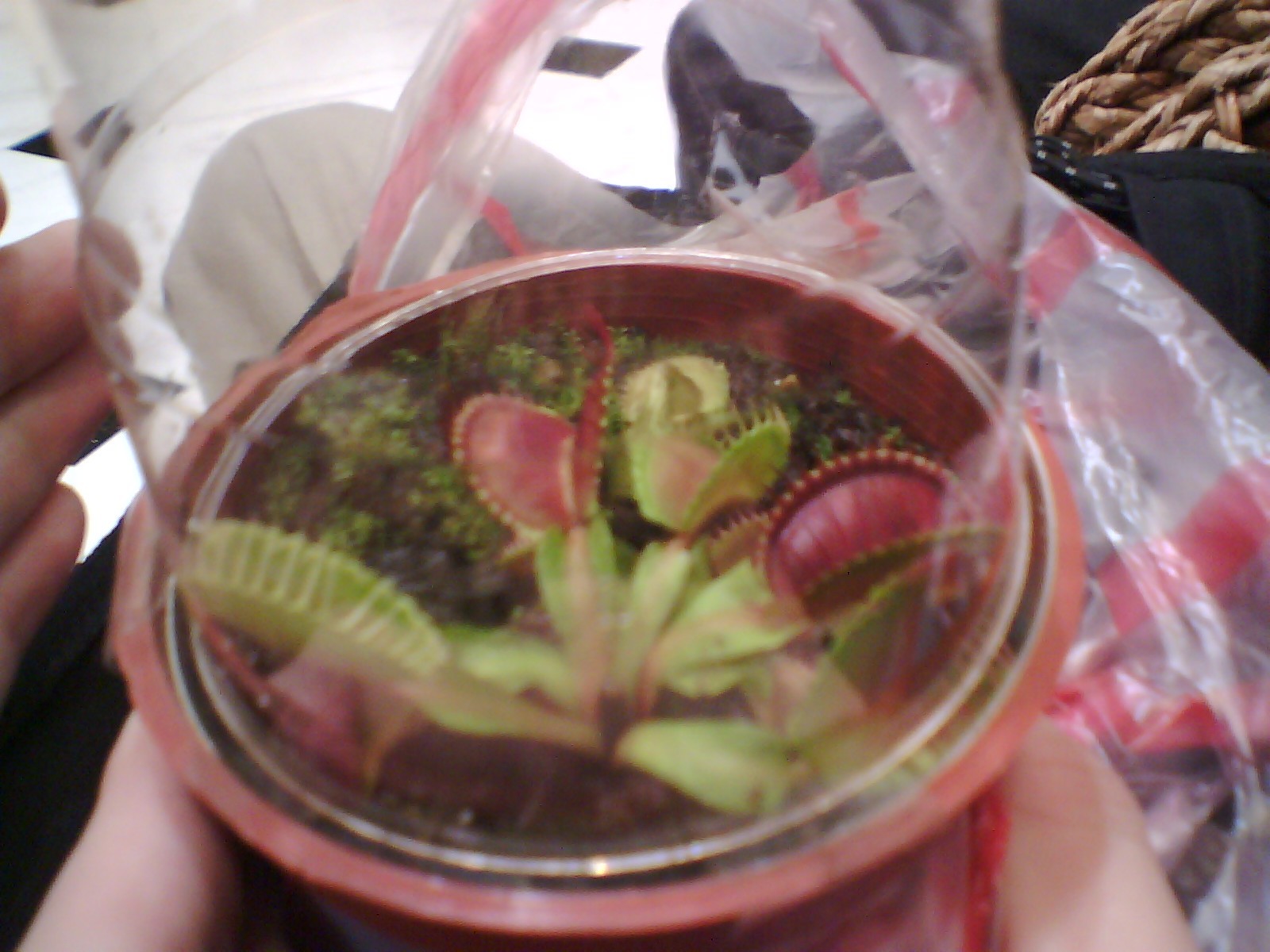 «ö¦¹¦b·sµøµ¡ÂsÄý¹Ï¤ù