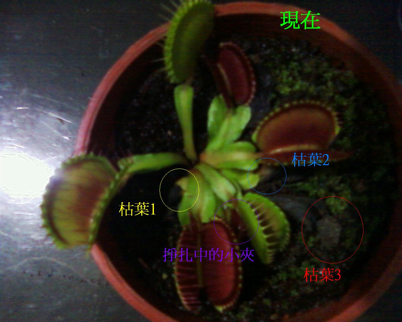 按此在新視窗瀏覽圖片