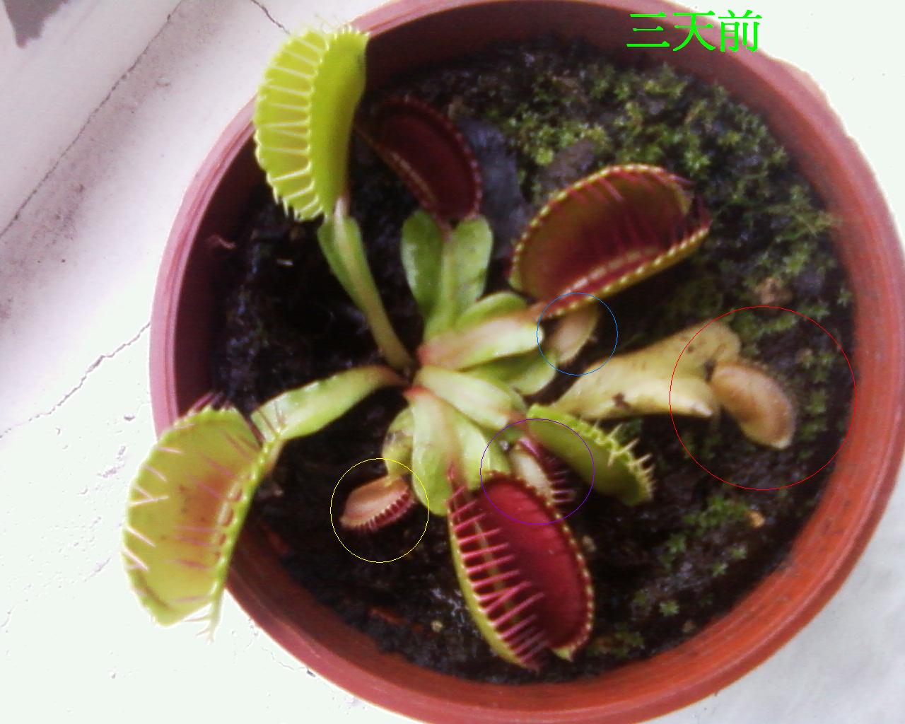 «ö¦¹¦b·sµøµ¡ÂsÄý¹Ï¤ù