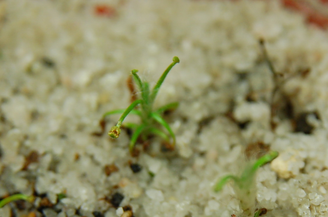 «ö¦¹¦b·sµøµ¡ÂsÄý¹Ï¤ù