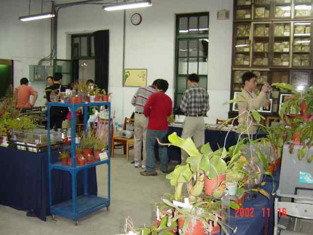 按此在新視窗瀏覽圖片