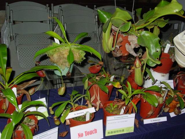 按此在新視窗瀏覽圖片