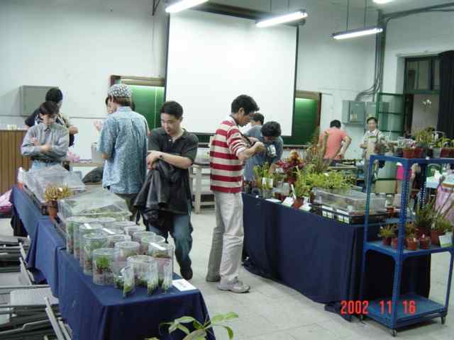 按此在新視窗瀏覽圖片