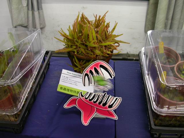 按此在新視窗瀏覽圖片