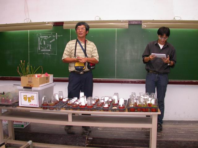 按此在新視窗瀏覽圖片